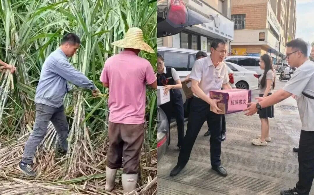 微信图片_2026-07-31_104237_762.jpg